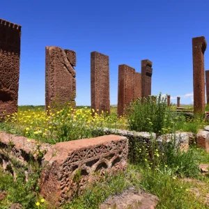 Seljuk Cemetery Epitaphs - Ahlat