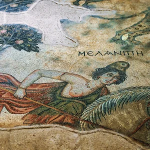 Haleplibahçe Mosaic Museum - Urfa 