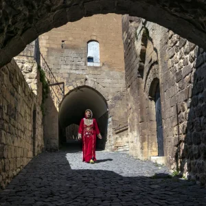 An Abbara Pass on the Mardin Street