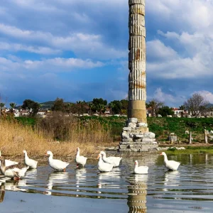 The Temple of Artemis - Selçuk