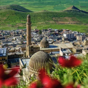 Mardin