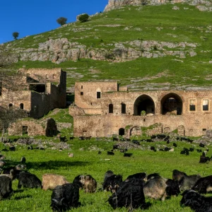 Savur Village Mardin