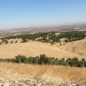 Taş Tepeler (Stone Hills) - Şanlıurfa Turkey