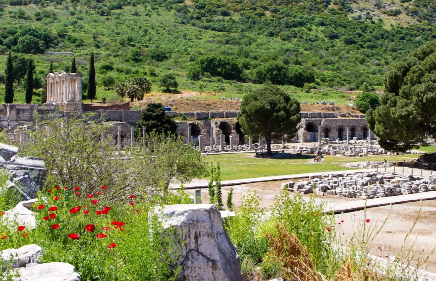 Ephesus Agora