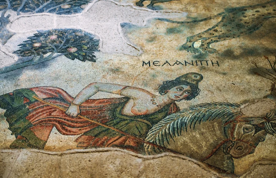 Haleplibahçe Mosaic Museum - Urfa 