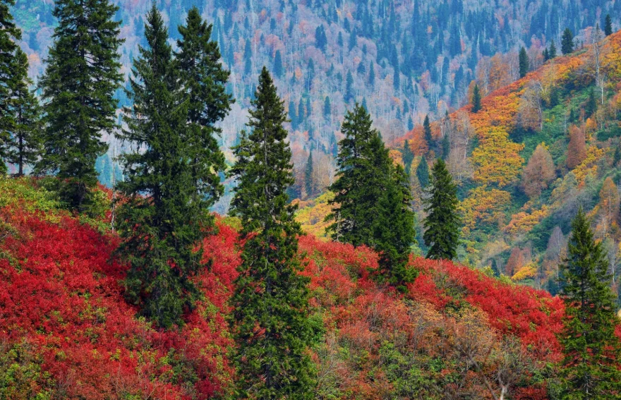 Artvin Mountains