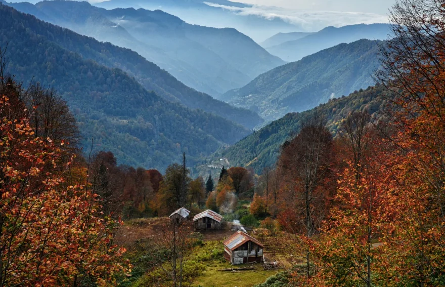 Artvin Maçhael