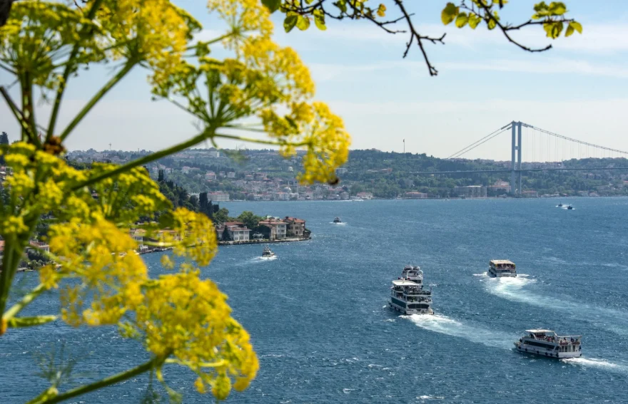 Bosphorus Cruise and Egypt Bazaar Half Day Tour (Afternoon)