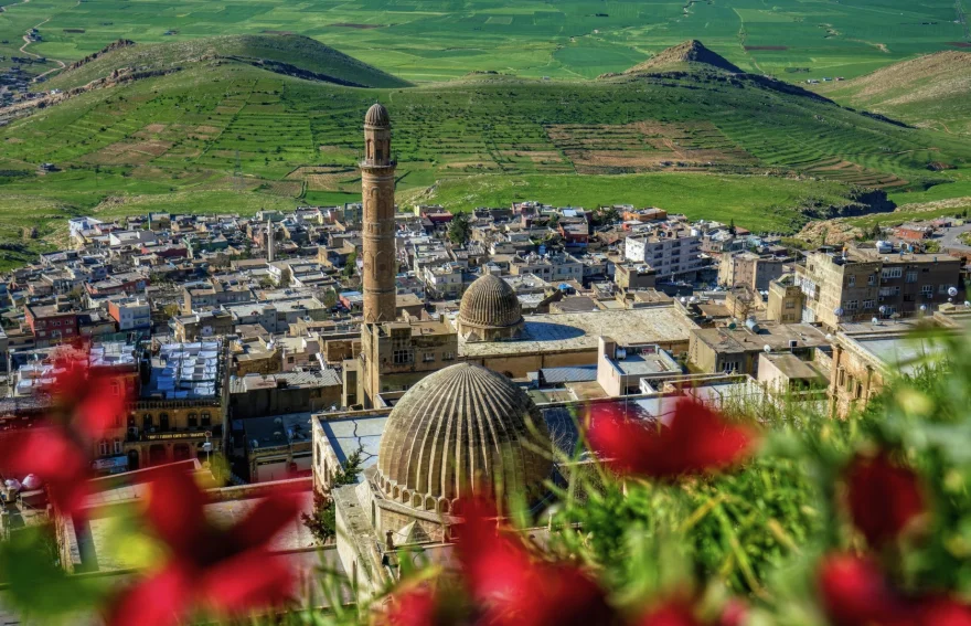 Mardin