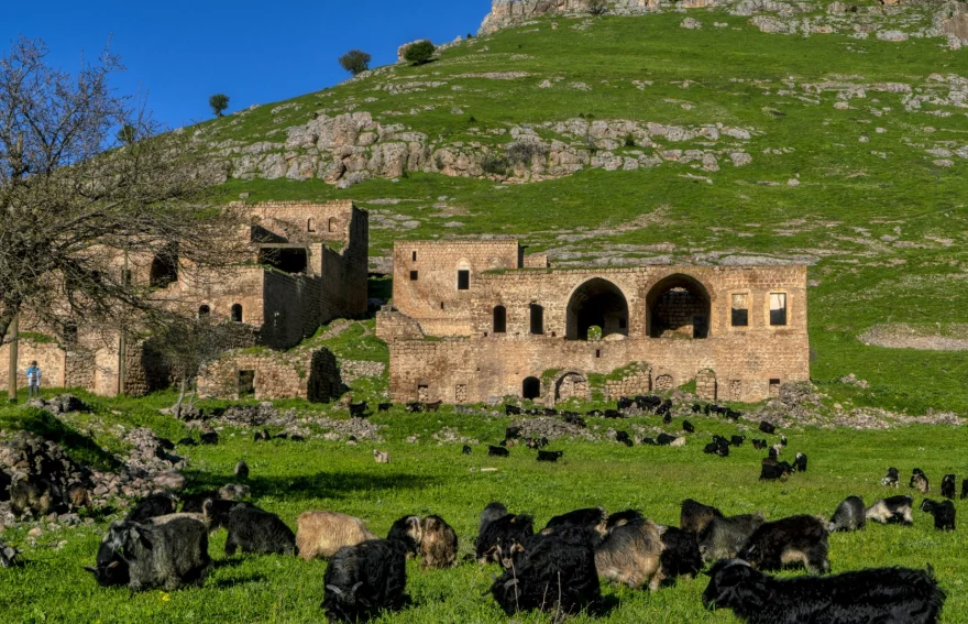 Savur Village Mardin