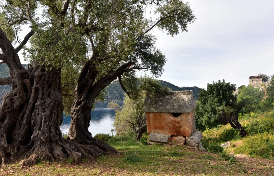 Üçağız Village 