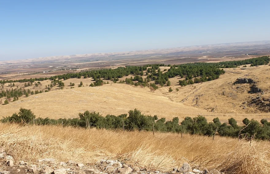 Taş Tepeler (Stone Hills) - Şanlıurfa Turkey